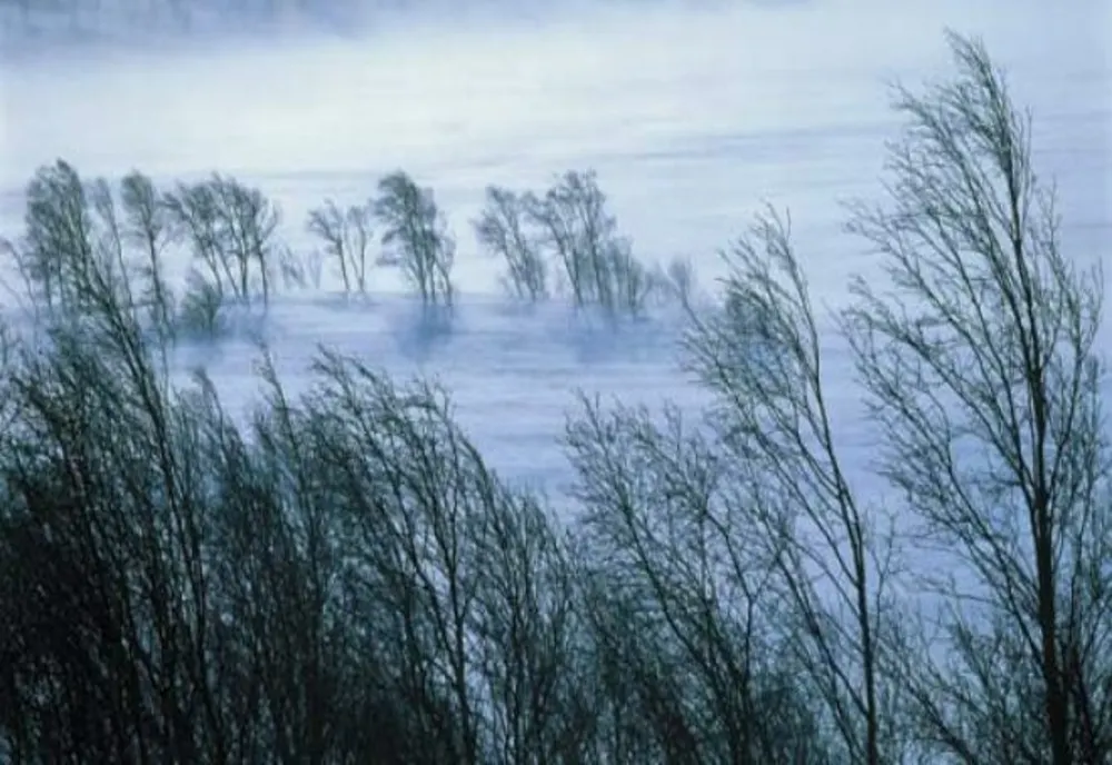 Prognoza meteo: Cod galben de polei în sudul României, avertizare de vânt puternic în sud-est