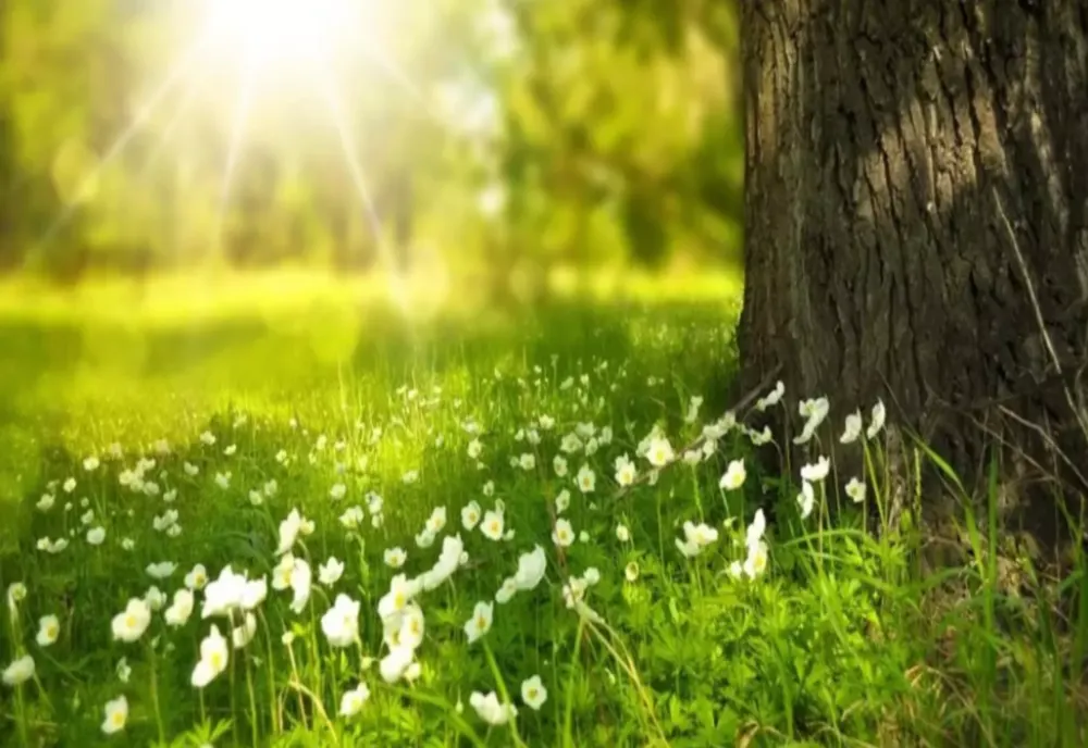 Prognoza meteo pentru luna aprilie. Cum va fi vremea în următoarele patru săptămâni?