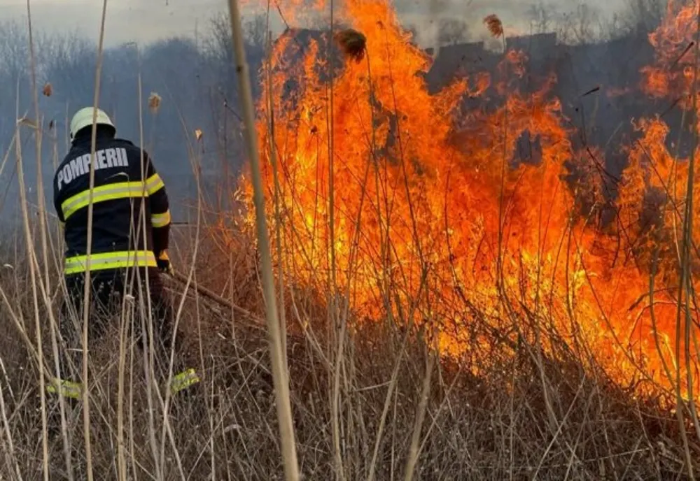 Studiu îngrijorător: Incendiile de pădure s-au dublat în lume, față de începutul secolului