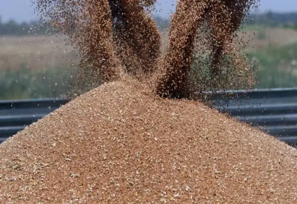 Polonia, Ungaria, Slovacia și Bulgaria, somate să ridice embargoul asupra cerealelor ucrainene, altfel fermierii lor vor rămâne fără sprijinul din partea UE