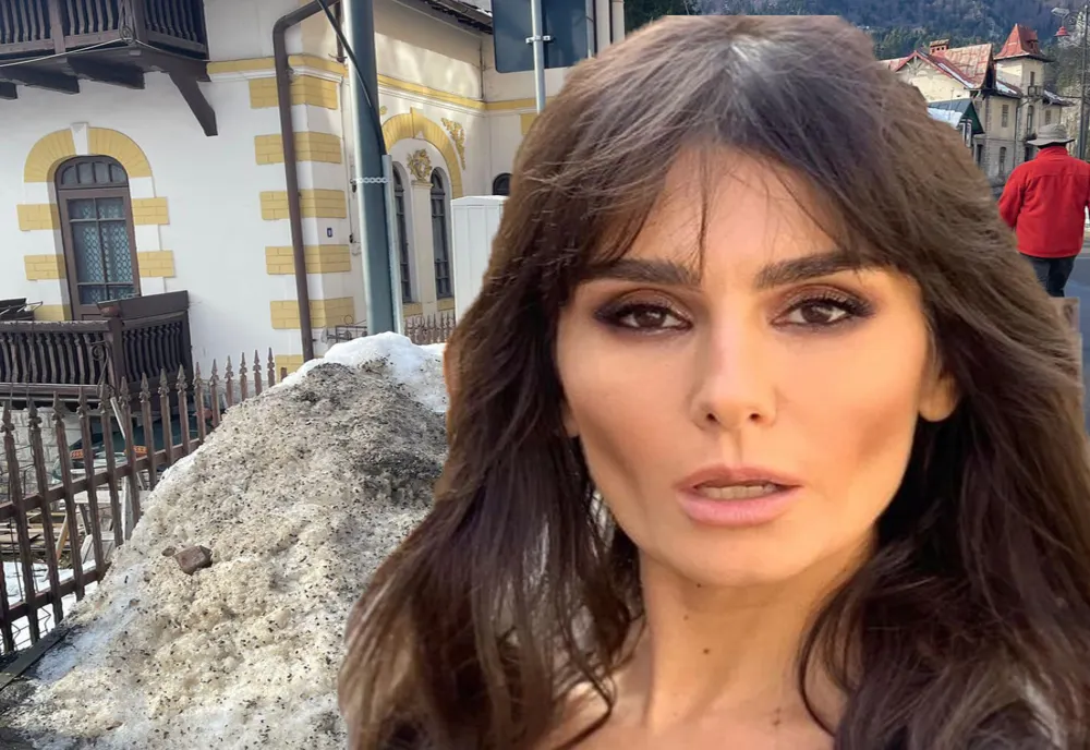Dana Budeanu a pierdut colaborarea cu Pro TV din cauza Oanei Gheorghiu