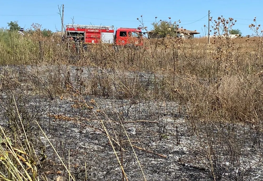 Îngrijorător! Peste 100 incendii de vegetație au avut loc într-o singură zi la noi în țară