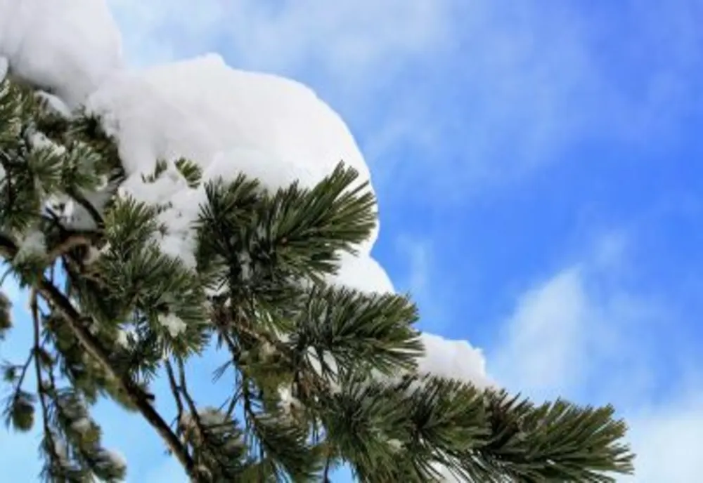 Prognoza meteo 14 martie - 11 aprilie: Cât timp va mai fi frig la noi în țară