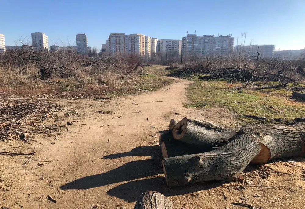 Noi întârzieri în dosarul retrocedărilor din Parcul IOR: instanța a schimbat completul de judecată