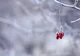 Cum va fi vremea în următoarele 2 săptămâni? Anunțul meteorologilor